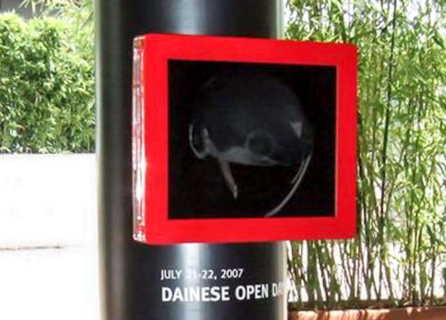 Dainese Open Day, monitor con bordo in plexiglass